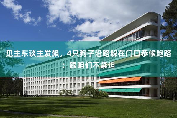 见主东谈主发飙，4只狗子沿路躲在门口恭候跑路：跟咱们不紧迫