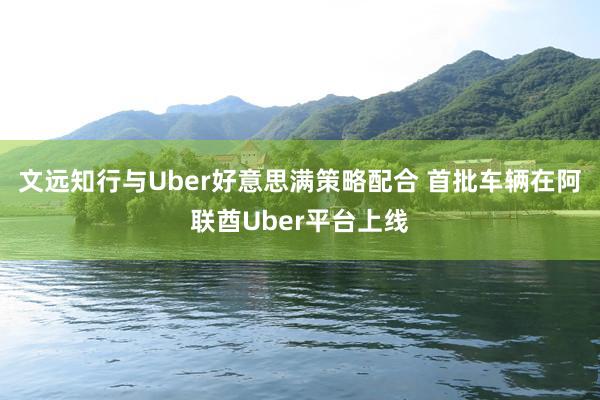 文远知行与Uber好意思满策略配合 首批车辆在阿联酋Uber平台上线