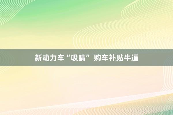 新动力车“吸睛” 购车补贴牛逼