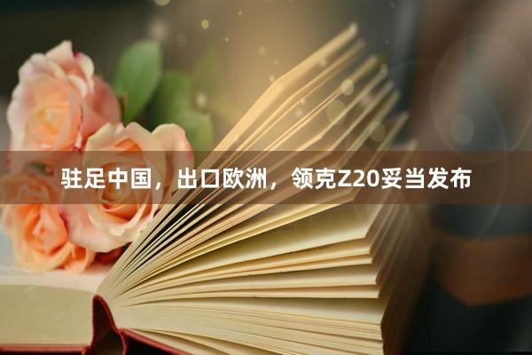 驻足中国，出口欧洲，领克Z20妥当发布