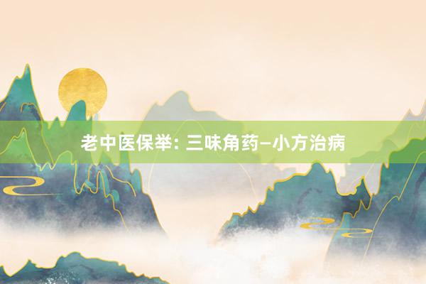 老中医保举: 三味角药—小方治病