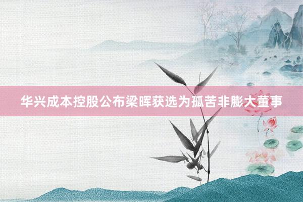 华兴成本控股公布梁晖获选为孤苦非膨大董事