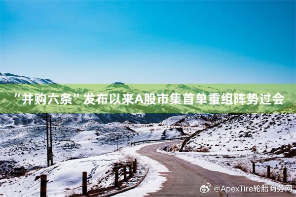 “并购六条”发布以来A股市集首单重组阵势过会