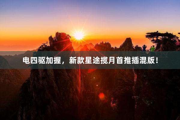 电四驱加握，新款星途揽月首推插混版！