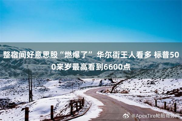 整宿间好意思股“燃爆了” 华尔街王人看多 标普500来岁最高看到6600点