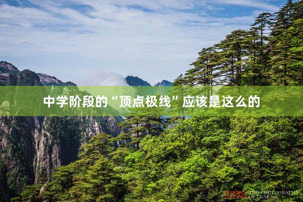 中学阶段的“顶点极线”应该是这么的