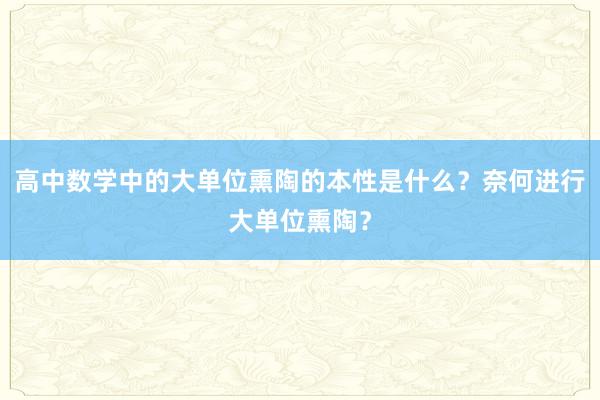 高中数学中的大单位熏陶的本性是什么？奈何进行大单位熏陶？