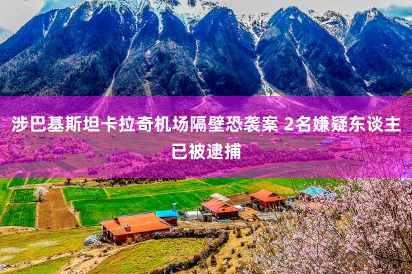 涉巴基斯坦卡拉奇机场隔壁恐袭案 2名嫌疑东谈主已被逮捕