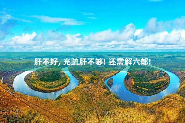 肝不好, 光疏肝不够! 还需解六郁!