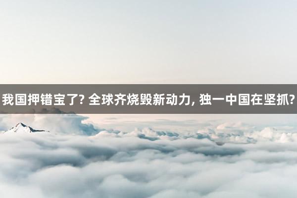 我国押错宝了? 全球齐烧毁新动力, 独一中国在坚抓?